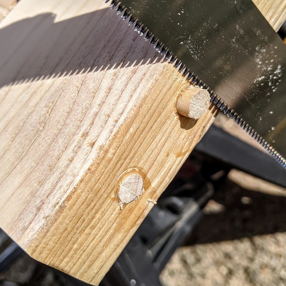 Trimming the dowel plugs