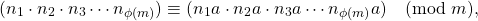 \[ (n_1 \cdot n_2 \cdot n_3 \cdots n_{\phi(m)}) \equiv (n_1a \cdot n_2a \cdot n_3a \cdots n_{\phi(m)}a) \pmod{m},\]